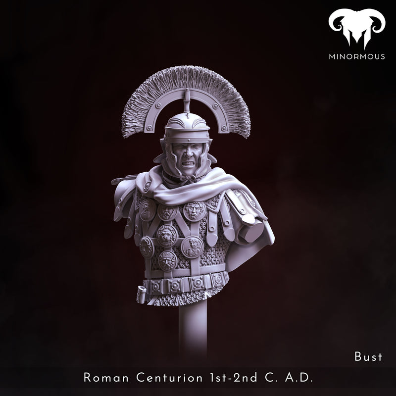 Bust - Roman Centurion 1st-2nd C. A.D. Spear of Rome!