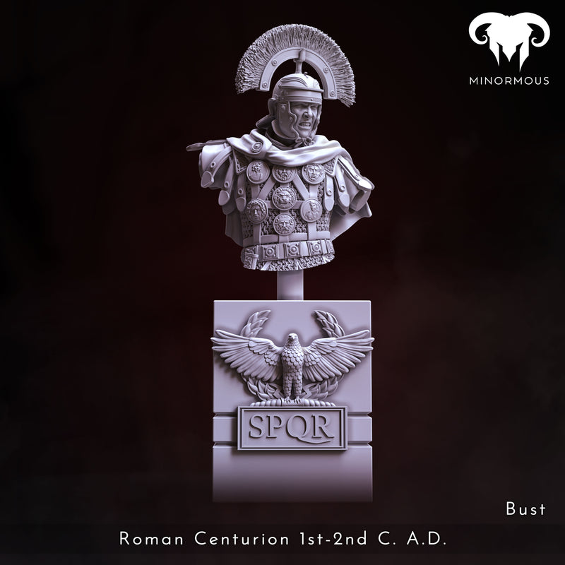 Bust - Roman Centurion 1st-2nd C. A.D. Spear of Rome!
