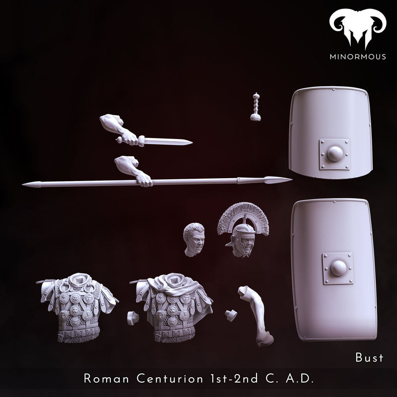 Bust - Roman Centurion 1st-2nd C. A.D. Spear of Rome!