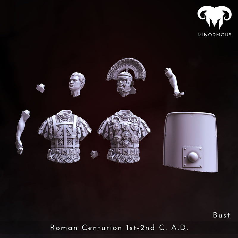 Bust - Roman Centurion 1st-2nd C. A.D. Bravery and Valor!