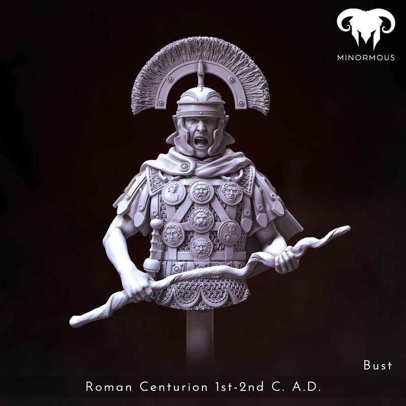 Bust - Roman Centurion 1st-2nd C. A.D. Discipline and Order!