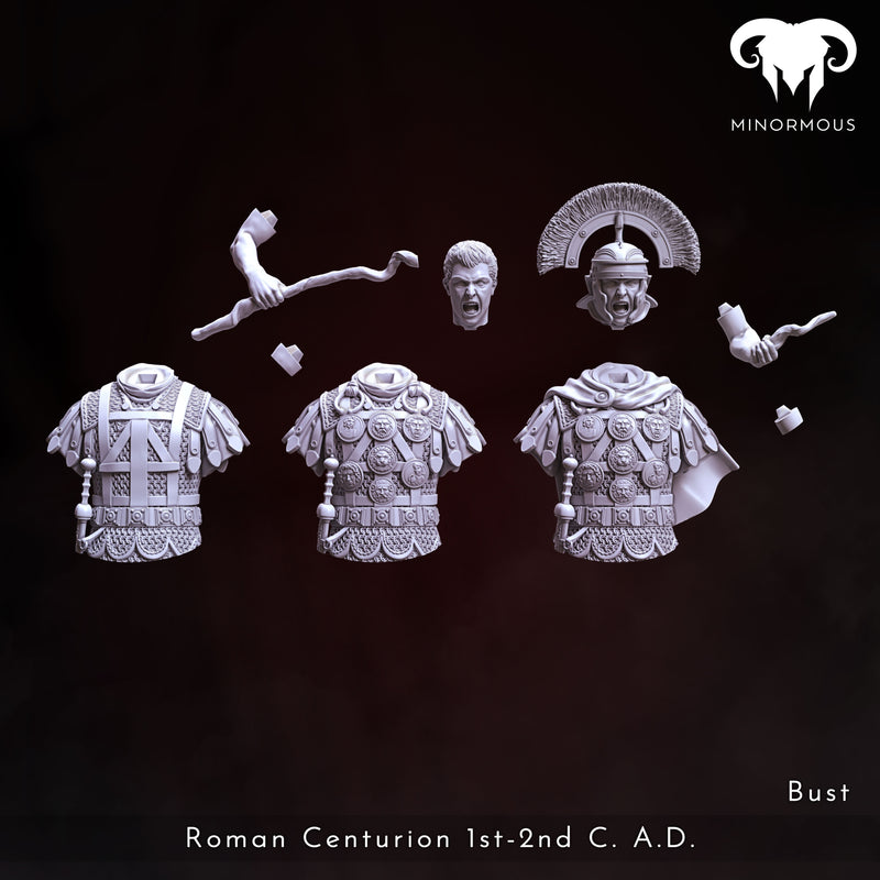Bundle - Roman Centurion 1st-2nd C. A.D. Discipline and Order!