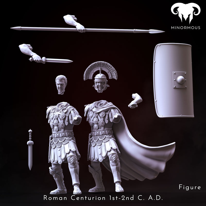 Bundle - Roman Centurion 1st-2nd C. A.D. Spear of Rome!