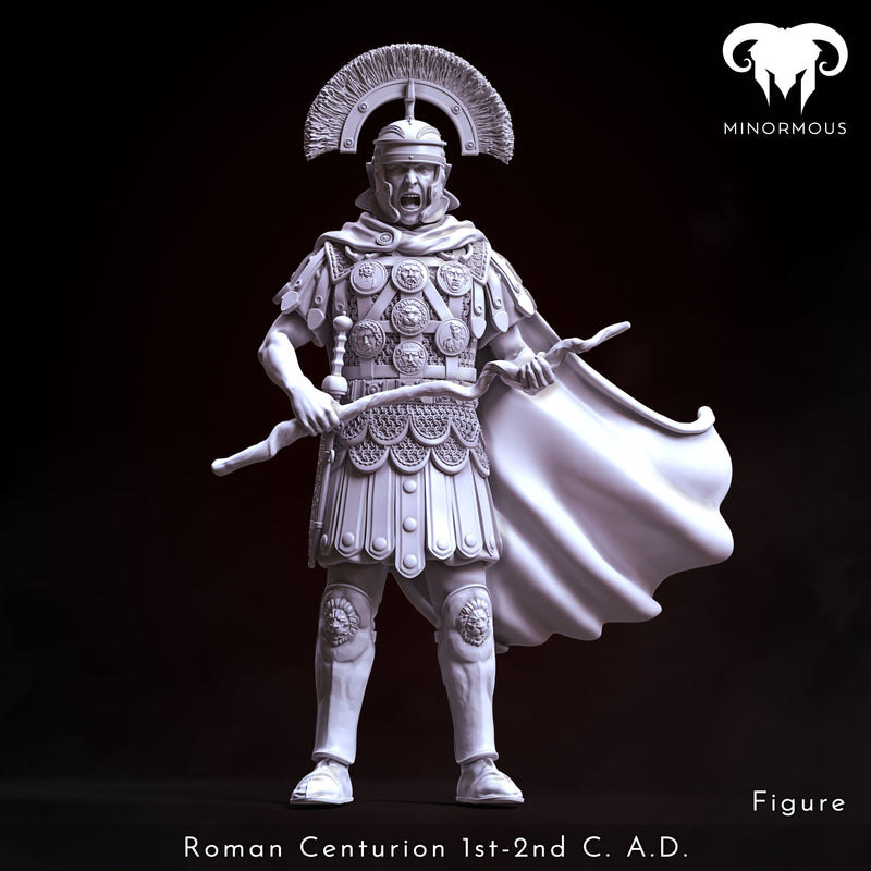 Bundle - Roman Centurion 1st-2nd C. A.D. Discipline and Order!