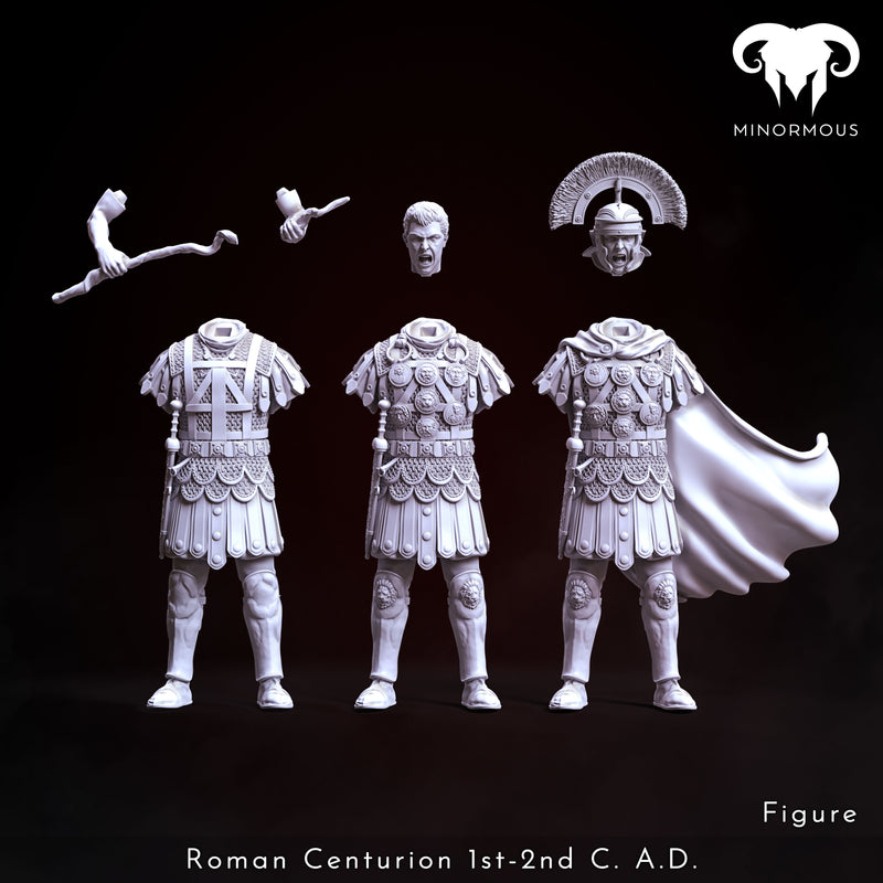 Bundle - Roman Centurion 1st-2nd C. A.D. Discipline and Order!