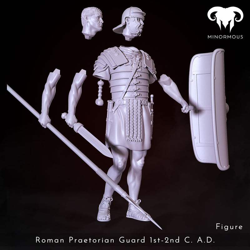 Figure - Roman Praetorian Guard 1st-2nd C. A.D. ready for the roman games!