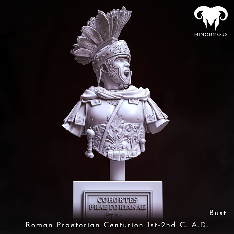 Bust - Roman Praetorian Centurion 1st-2nd C. A.D. In Command!