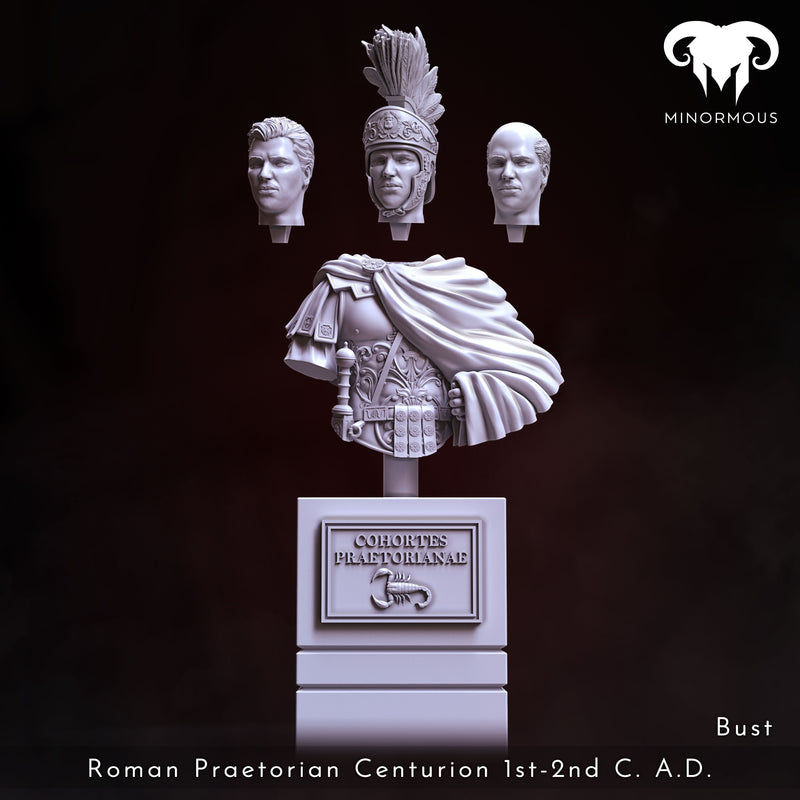 Bundle - Roman Praetorian Centurion 1st-2nd C. A.D. in Charge!