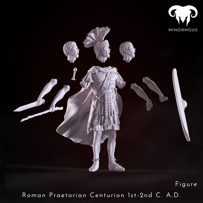 Bundle - Roman Praetorian Centurion 1st-2nd C. A.D. in Command!