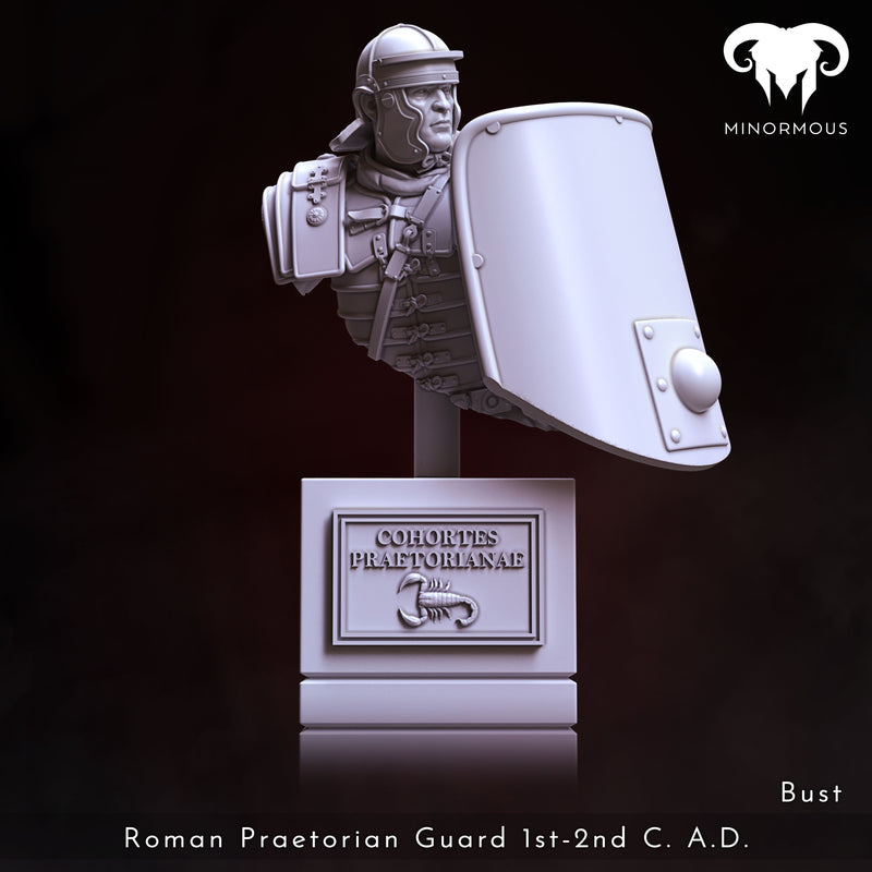 Bust - Roman Praetorian Guard 1st-2nd C. A.D. in action