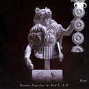 Bust - Roman Signifer 1st-2nd C. A.D. Standard of Honor!
