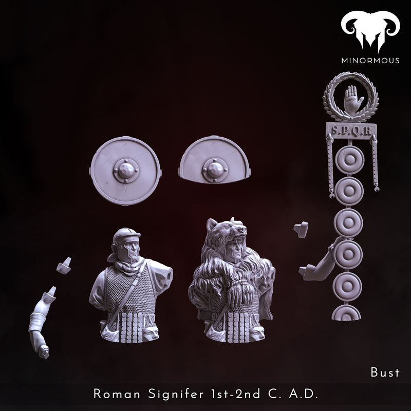 Bust - Roman Signifer 1st-2nd C. A.D. Standard of Honor!