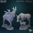 Beautiful Creatures Campaign Pack