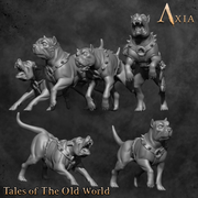 NAX043 - Only-Games