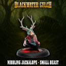 Nibbling Jackalope - Small Beast