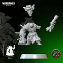 Orck Mad Riders Scrap Goblins x10 - Only-Games