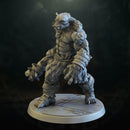 Dungeon Ogre
