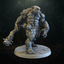 Dungeon Ogre
