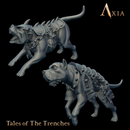 PAXT003 - Trench hounds