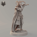 Petal Knight Giuno - Realsteone - Terrain Wargaming D&D DnD 32mm 40mm 54mm