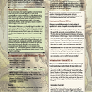 Fairy Dust Crisis DnD Module: Pre-generated Characters & Battle Maps