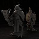 Qillek Ad Khollar - Aaracokra Cleric / Wizard - Only-Games