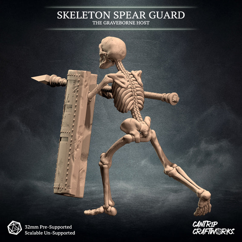 Skeleton Spear Guard, The Graveborne Host