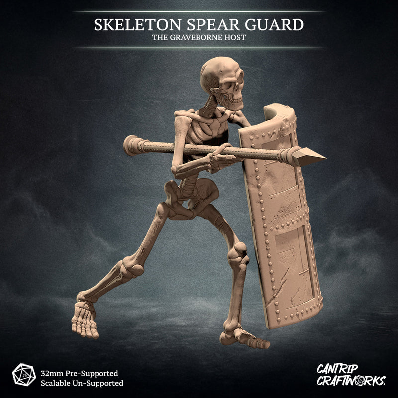 Skeleton Spear Guard, The Graveborne Host