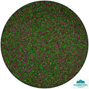 Saw Dust Scatter - Moorland Mixture - Only-Games