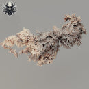 Scarlet Goddess - Realsteone - Terrain Wargaming D&D DnD 32mm 40mm 54mm