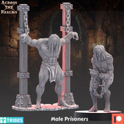 Male Prisoners - Only-Games