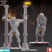 Male Prisoners NSFW - Only-Games