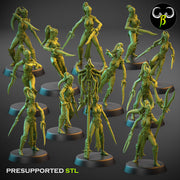 Spider cultists with dual blades - Only-Games