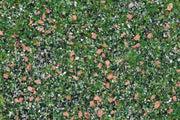 Base Ready Taiga Hillside - Only-Games
