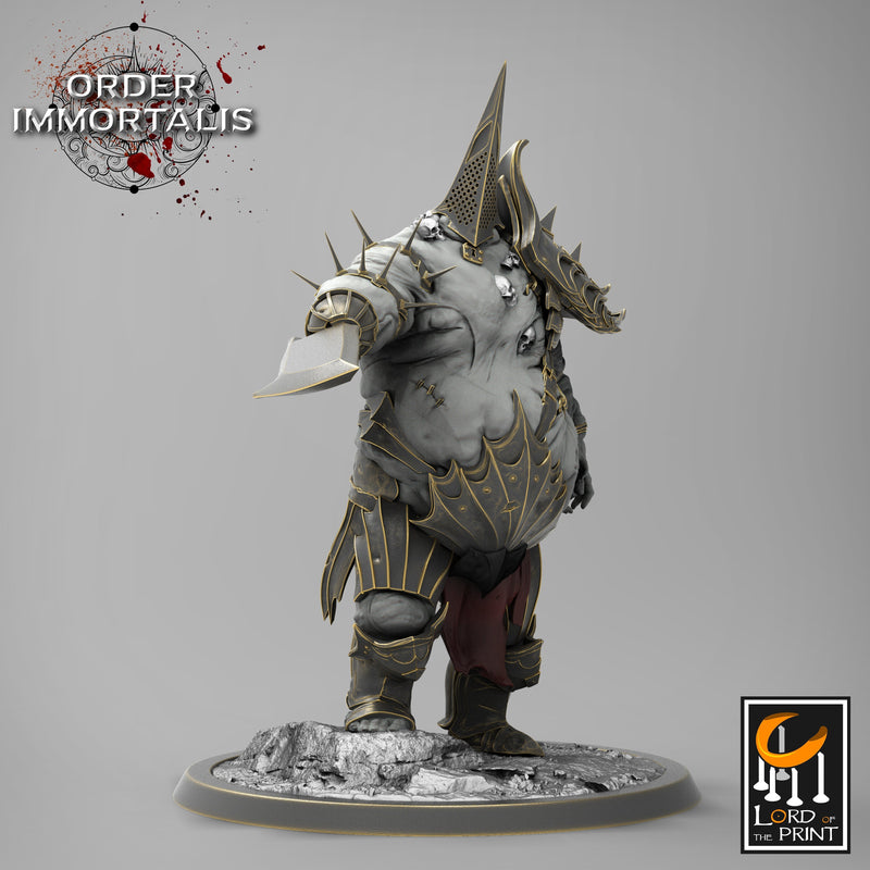 Tormentors - Order Immortalis - Rescale Miniatures - Wargaming D&D DnD - Only-Games
