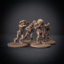 Undead Trebuchet - Only-Games