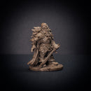 Witch Hunter Captain