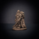 Witch Hunter Captain