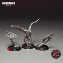 Warriors of the Shadow - Hunting birds x3 - Only-Games