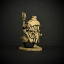 Wallace the Witch Hunter - Only-Games