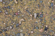 Base Ready Wasteland Soil - Only-Games