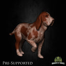 Rusty The Dog [PRE-SUPPORTED] - Only-Games