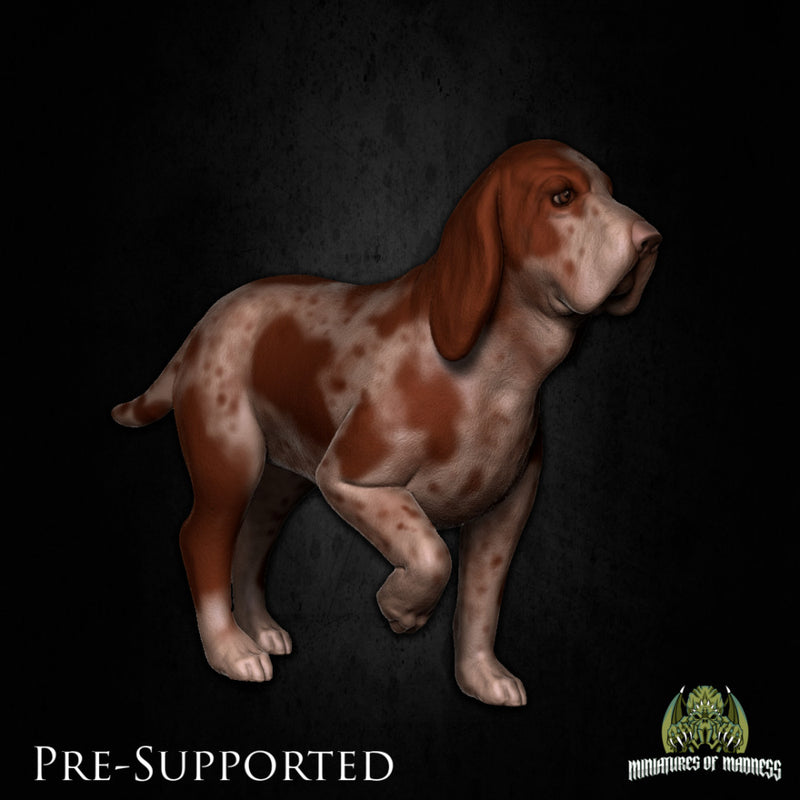 Rusty The Dog [PRE-SUPPORTED] - Only-Games