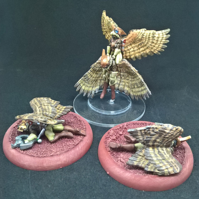 Hawkman Valkyrie Medic and Casualties (wings) - Only-Games