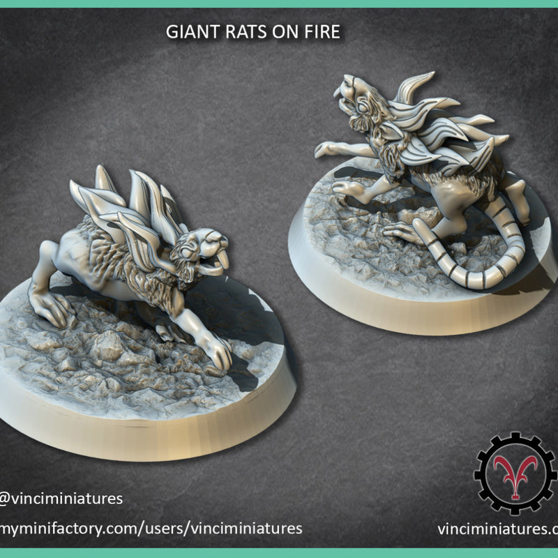 GIANT RATS ON FIRE - Only-Games