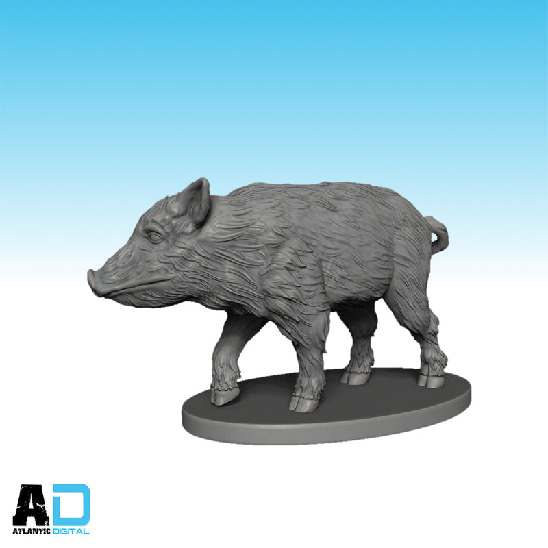 European Wild Boar - Puddle Bases - Only-Games