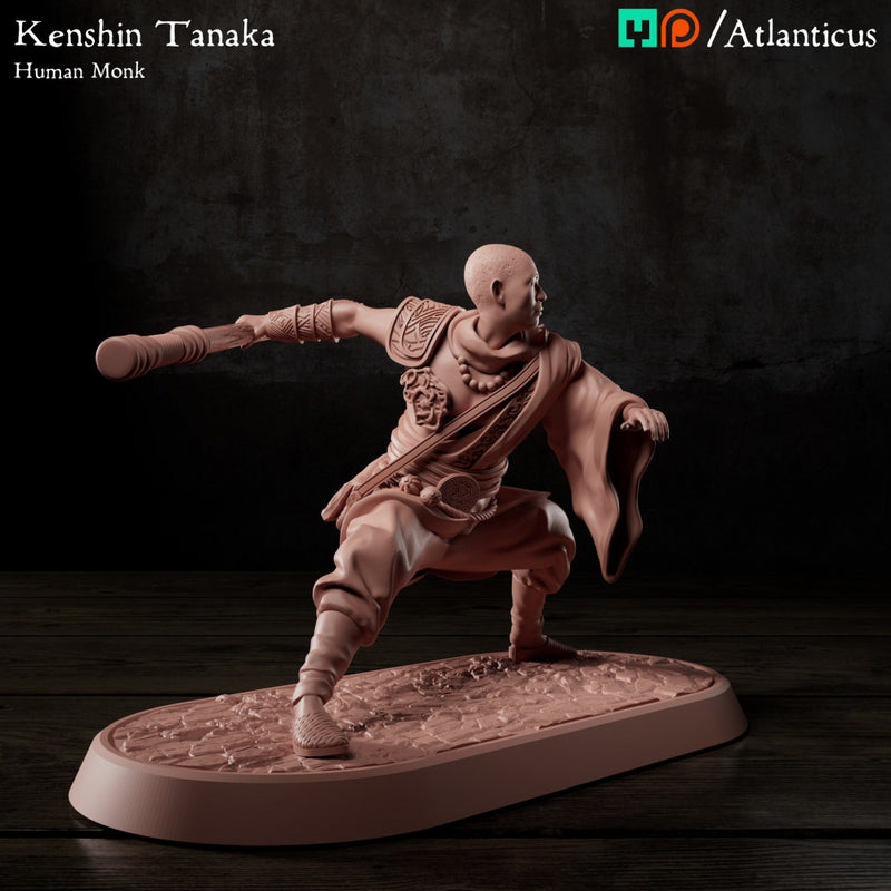 Kenshin Tanaka - Staff Squarestance - Only-Games