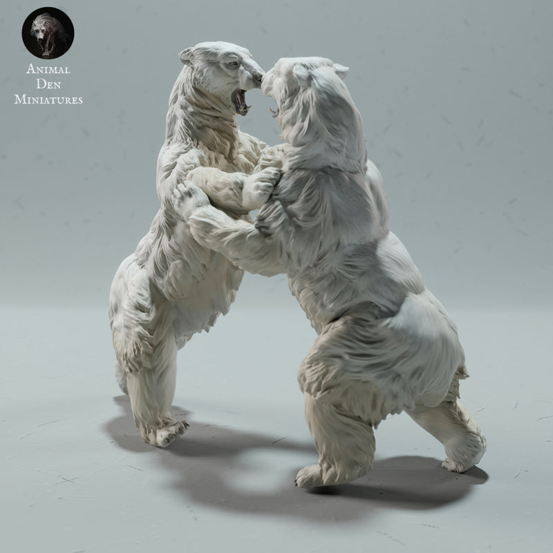 Polar Bears Fighting 1/43 - Only-Games