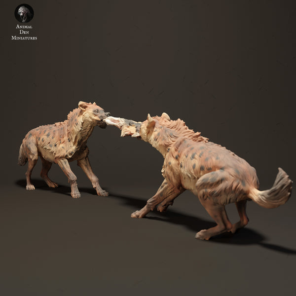 Spotted Hyenas 1/43 - Only-Games