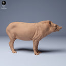 Brazilian Tapir 1/43 - Only-Games